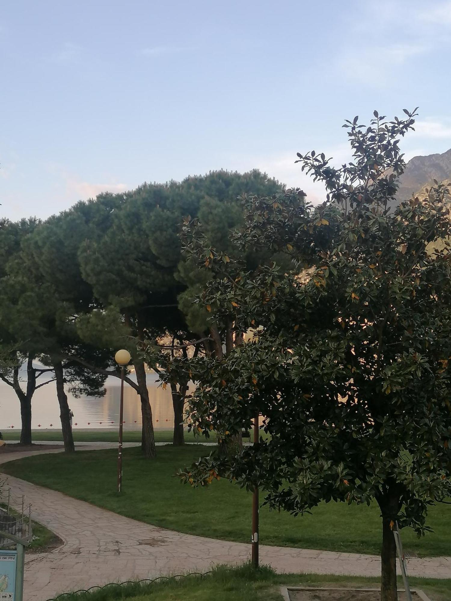 Appartement Lago Blu Ρίβα ντελ Γκάρντα Εξωτερικό φωτογραφία